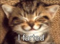 /album/photogallery/funny-cat-that-farted-jpg/
