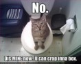 /album/photogallery/funny-pictures-cat-has-taken-over-your-toilet-jpg/